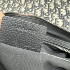 dior saddle limited edition