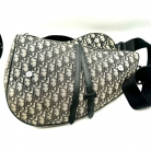 dior saddle limited edition