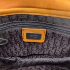 dior saddle limited edition