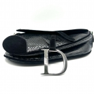 Dior Saddle Phython
