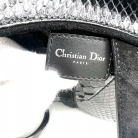 Dior Saddle Phython