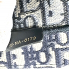 dior tote book