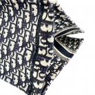 dior tote book