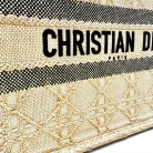 dior tote book