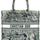 dior tote book