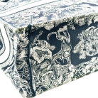 dior tote book