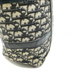 Dior Trotter Boston Canvas