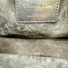 Dior Vibe Half-Moon Pouch