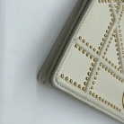 Diorama Wallet on chain Dior