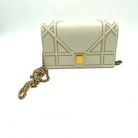 Diorama Wallet on chain Dior