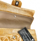 Chanel Classic  Double Flap