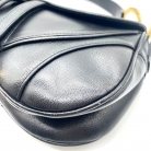 Double Saddle Dior