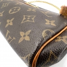 Eva Louis Vuitton