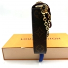 felicie louis vuitton