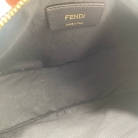 Fendi Fendigraphy