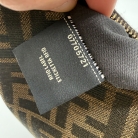 Fendi Fendigraphy