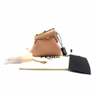 Fendi Nano