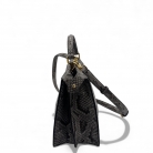 Fendi Peekaboo ISeeU Mini