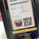 Fendi pink Fendigraphy