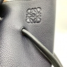 Flamenco Loewe tote
