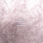 IPad Case Louis Vuitton