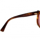 MIU MIU SUNGLASSES BROWN PINK LENS