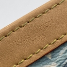 Gaston Wearable Wallet Surf Louis Vuitton