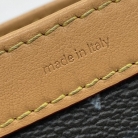 Gaston Wearable Wallet Surf Louis Vuitton