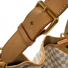 Graceful Damier Azur