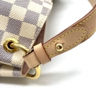 Gracefull louis vuitton