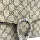 gucci dionysus CB
