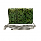 Gucci Dionysus Limited Edition