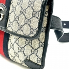 Gucci GG Ophidia