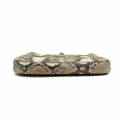 gucci jackie python