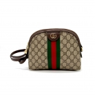 Gucci Ophidia dome
