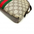 Gucci Ophidia dome