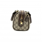 Gucci Ophidia mini Boston