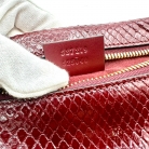 gucci phyton