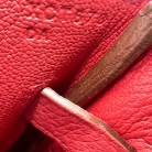 Hermès Birkin 35 Clemence
