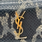Kate Saint Laurent in pelle di serpente