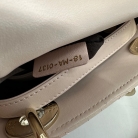 Lady Dior
