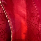 Lady Dior