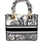Lady Dior D-Lite