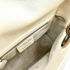 Lady Dior Mini