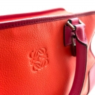 loewe amazona