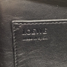 Loewe Amazona 23