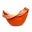 Loewe Luna Bag