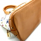 Louis Vuitton Alma Murakami Multicolor