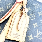 Louis Vuitton Alzer 50