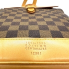 louis vuitton arlucan